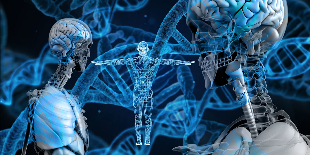 BioValley – Life Sciences Network